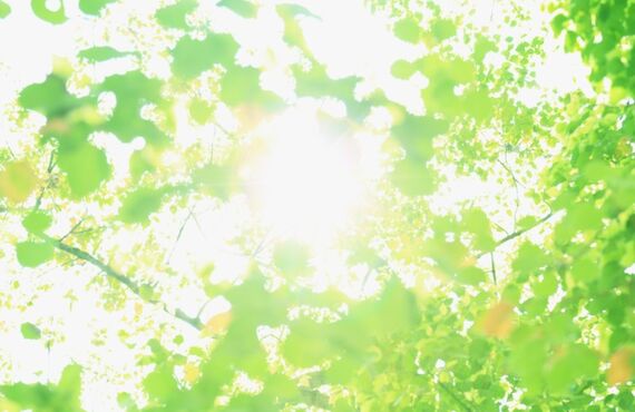 浦和ボディケアサロン月と波は、心地よい整体の技でストレスにアクセス。不眠の問題にアプローチします。