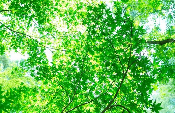 さいたま市で整体を提供するボディケアサロン月と波で身体を整えながら体質改善を！